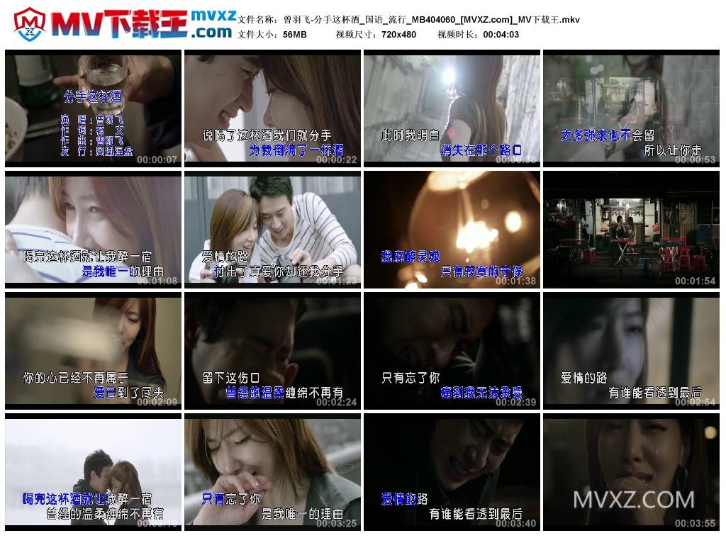 曾羽飞-分手这杯酒_国语_流行_MB404060